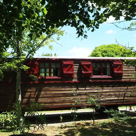 Les Des Mousquetaires *