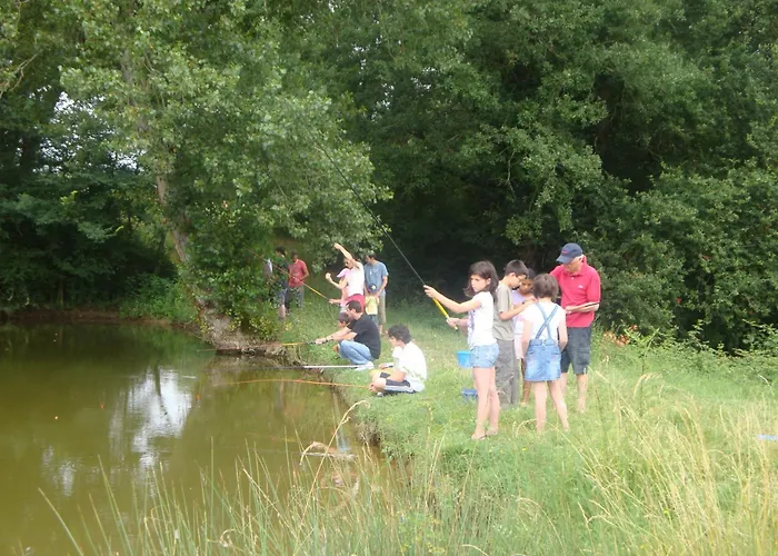 Les Des Mousquetaires *